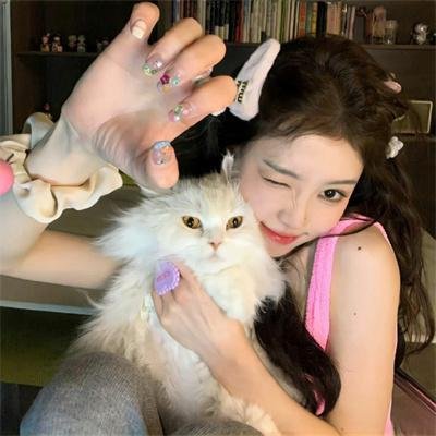 赛尔号大电影之寻找凤凰神兽